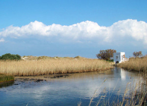 parco dune