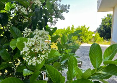 PHOTO-2025-06-21-12-30-13