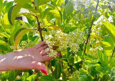 PHOTO-2025-06-21-12-30-22