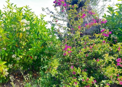 PHOTO-2025-06-21-12-30-35