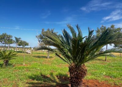 PHOTO-2025-06-21-12-31-02